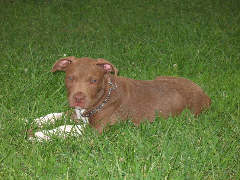 Eds Pics 009.jpg