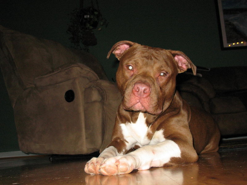Eds Pics 024.jpg
