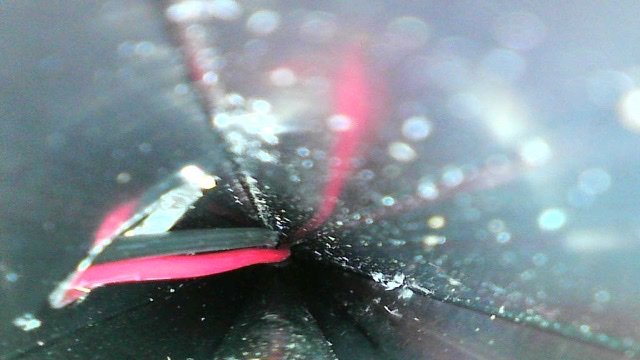 EEDDD311-C871-4A20-A3AD-0283287FDF8C.jpg
