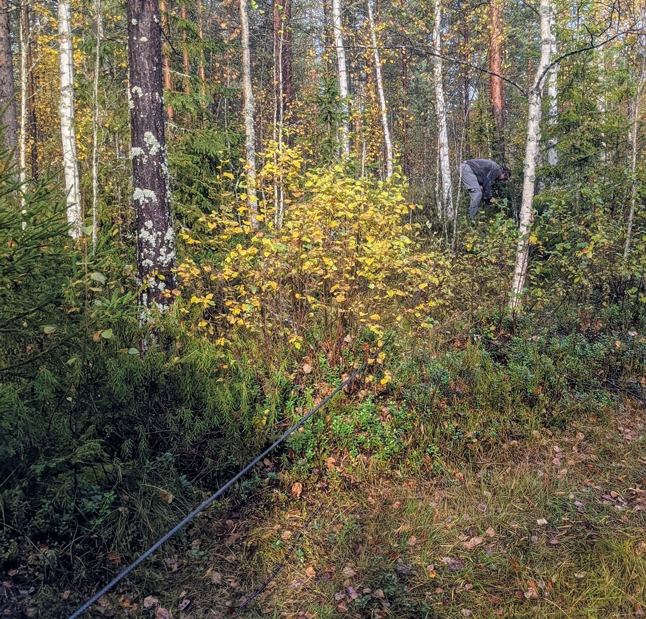 EEF90AC0-074B-4D83-9005-F962FEB20B06.jpg