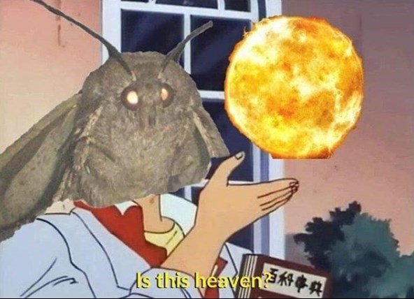 eerwwerw.jpg