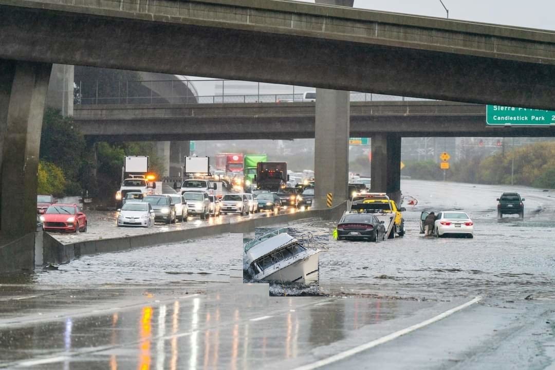 ef.jpg