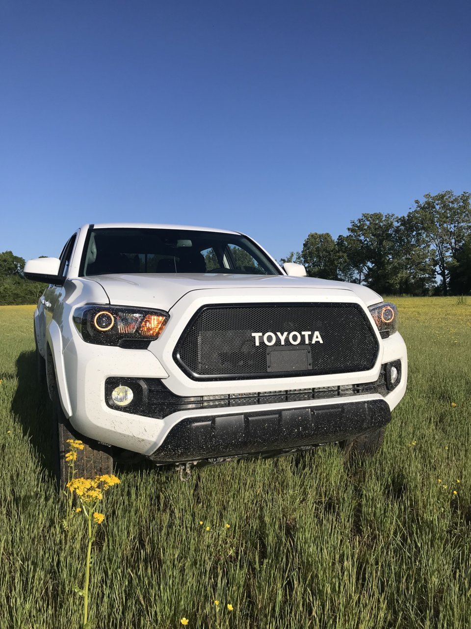 EF0F8364-1A3E-4222-8646-4CDBB87C0F3F.jpg