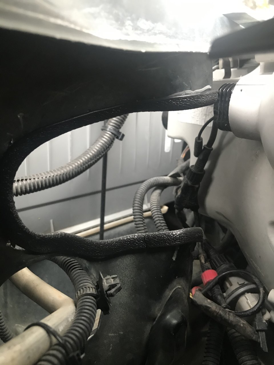 EF11EAF7-C148-4FEF-B652-A0D6ABA29F8B.jpg