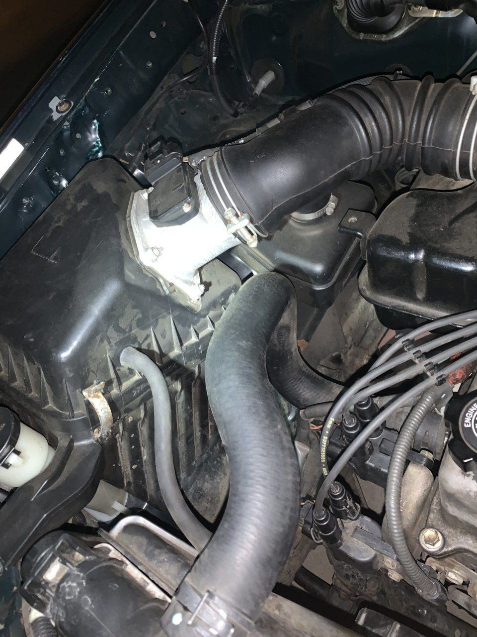 EF63FD35-4676-40A6-93B8-2ED68589585D.jpg