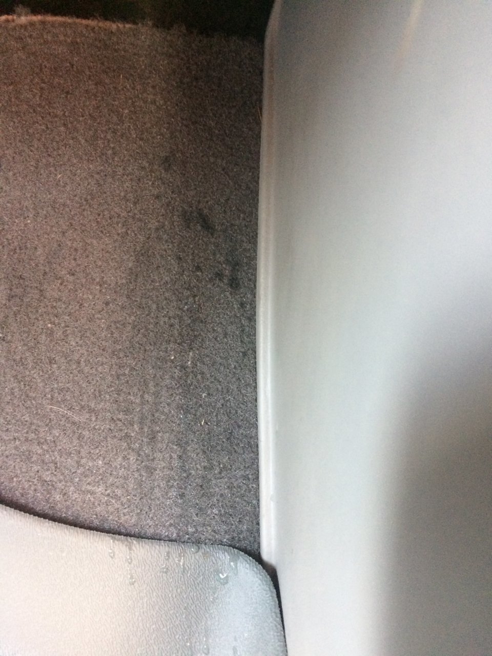 EF640066-F7A4-41AA-BC32-E5405C1A68AD.jpg