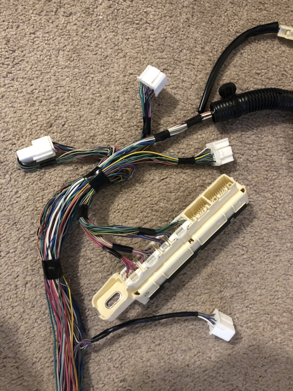 EF701F6E-9F2D-4B9E-891E-14DEB218F95E.jpg