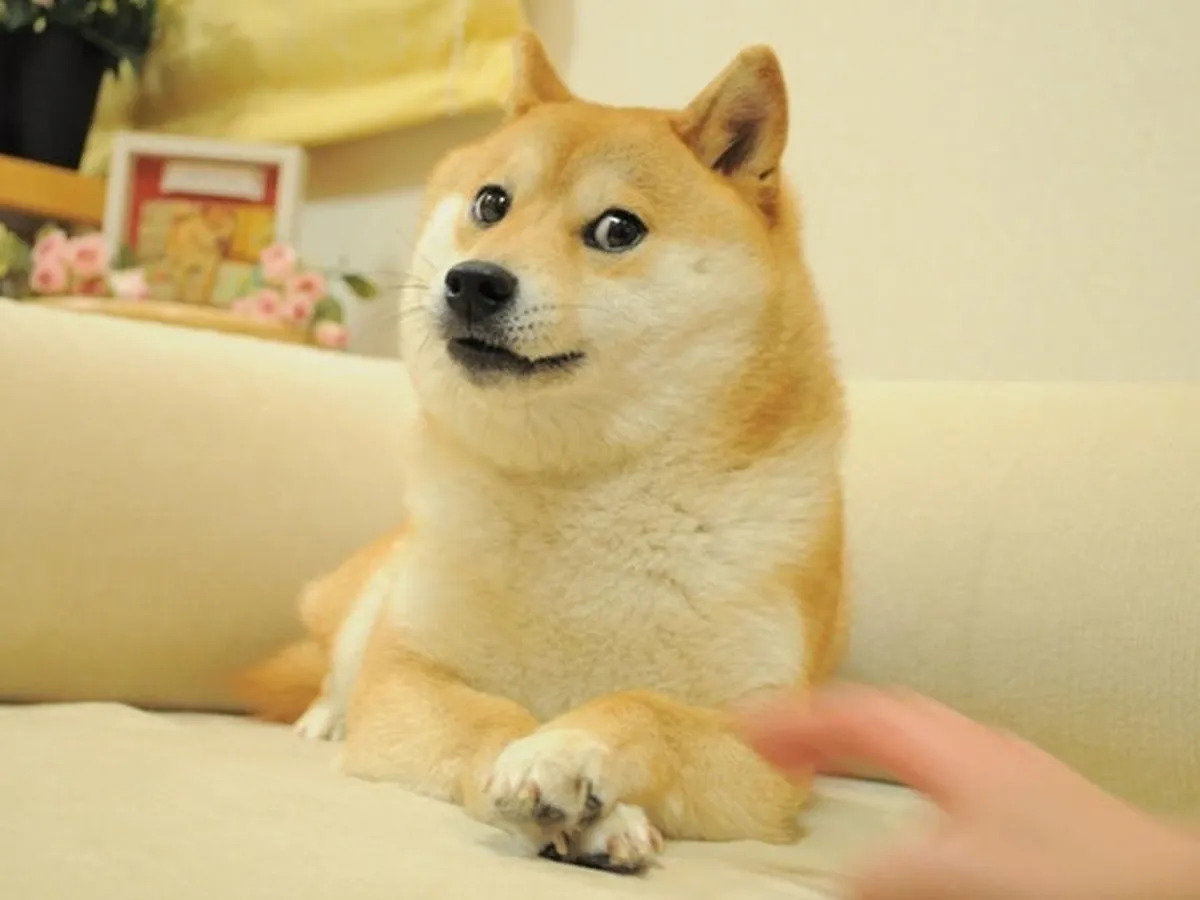 efwfe.jpg