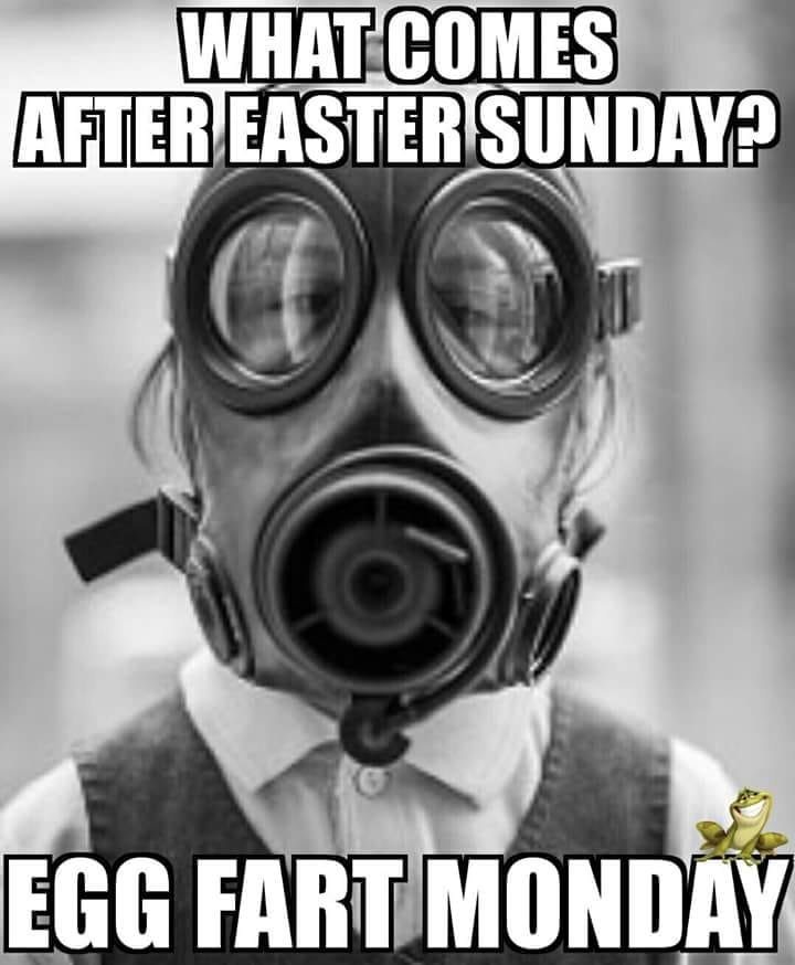 egg fart monday.jpg