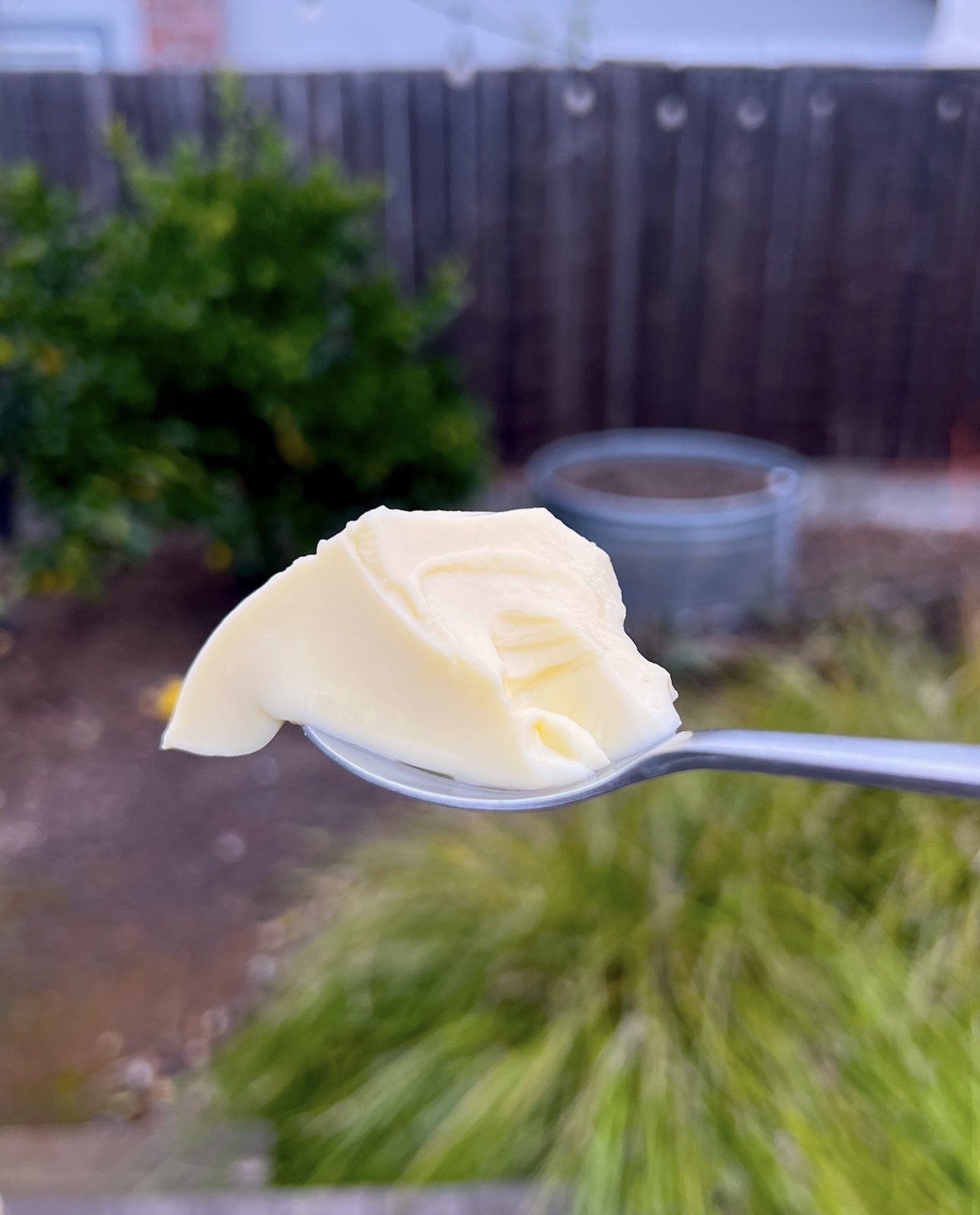egg tofu copy.jpg