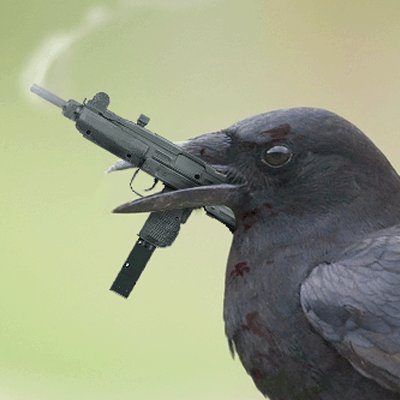 EGmbu1gH.jpg