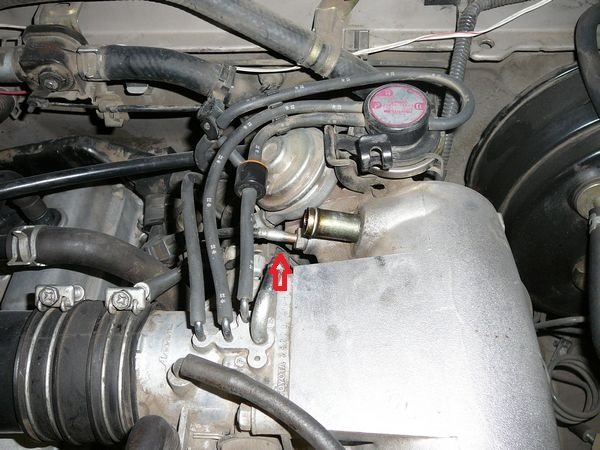 EGR2-sm.jpg