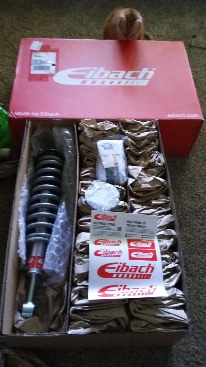 Eibach.jpg