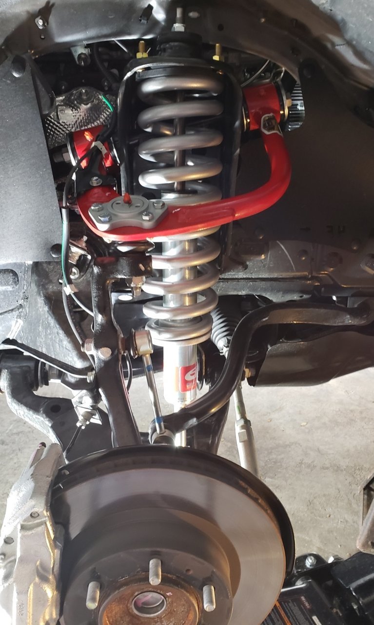 Eibach PF.jpg