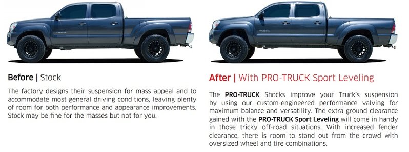 Eibach Pro Truck 2.jpg