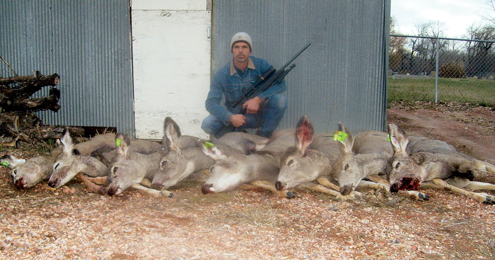 Eight deer.jpg