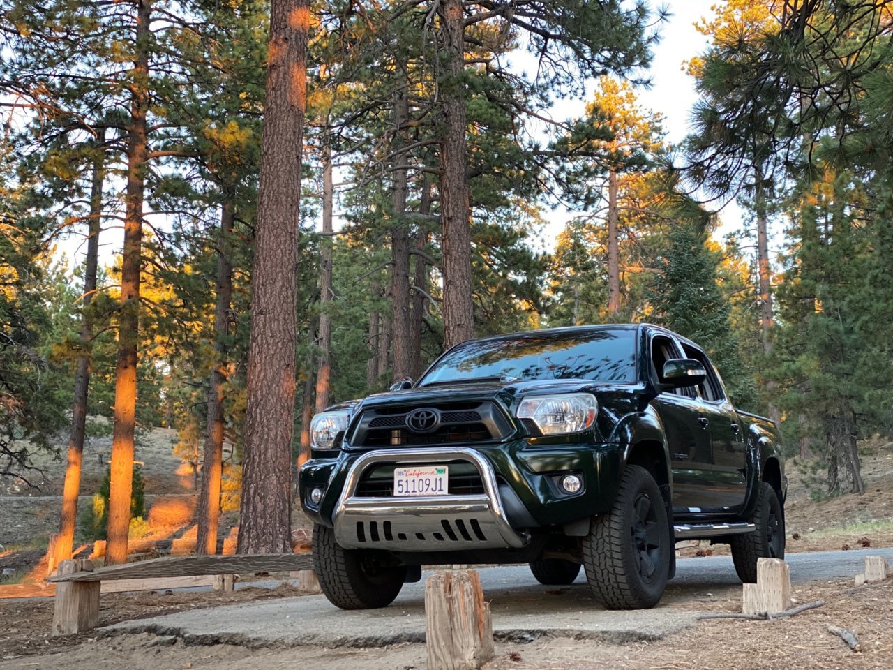 El Taco Verde.jpg
