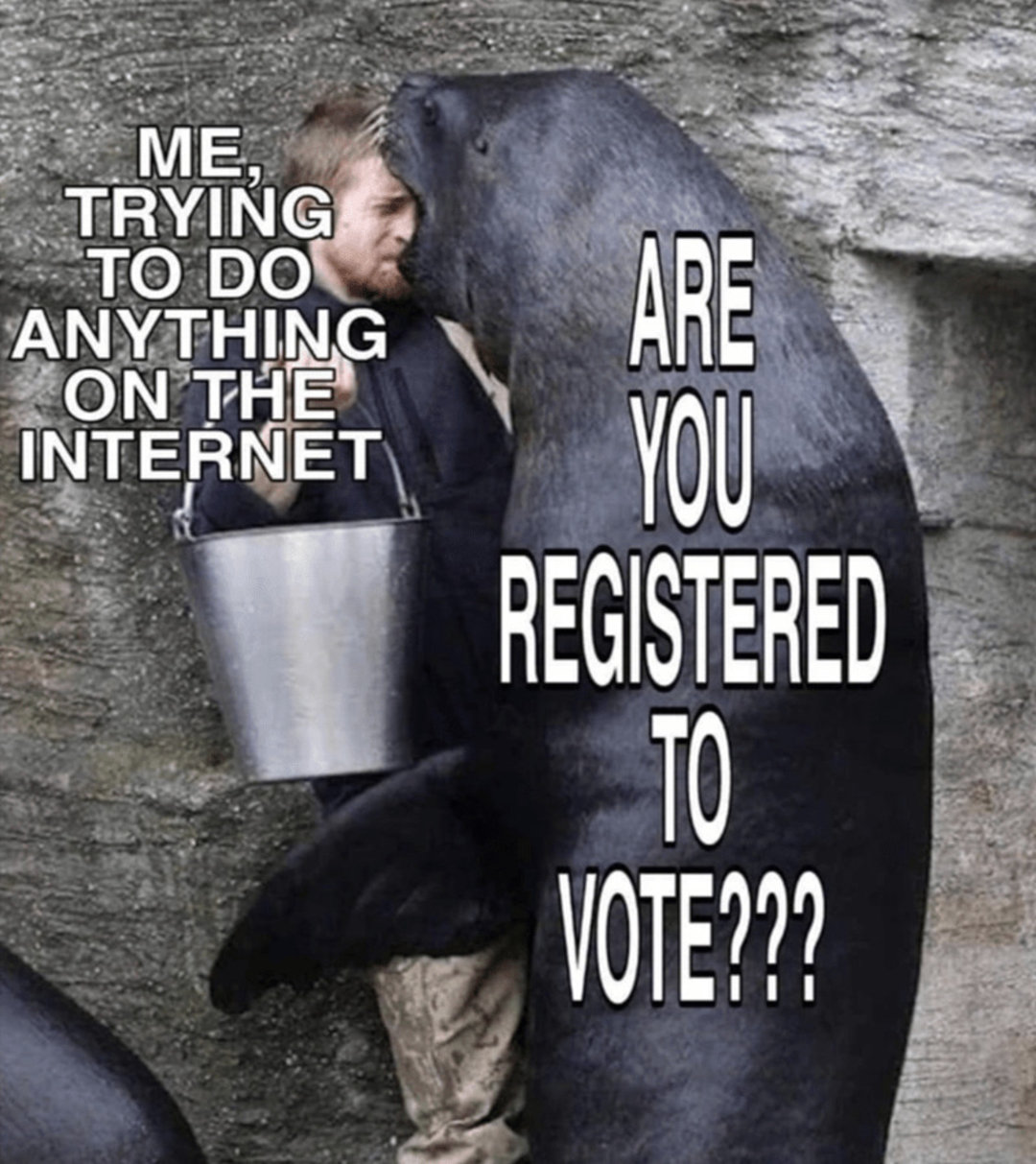ElectionMemes-2-Voting-ads-be-like...72.jpg
