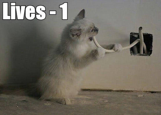 electrocution_Cat_f51fbcfdf8f22fc6097fbc61e629acfdba756d2f.jpg