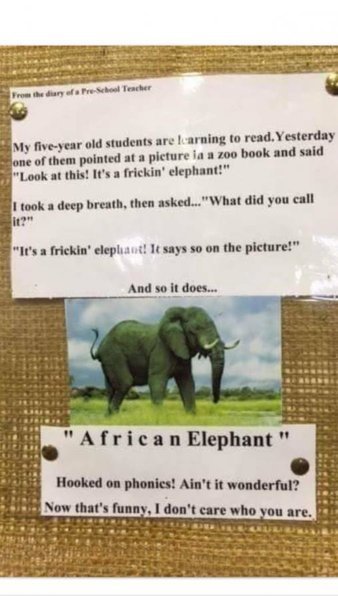 elephant[1].jpg