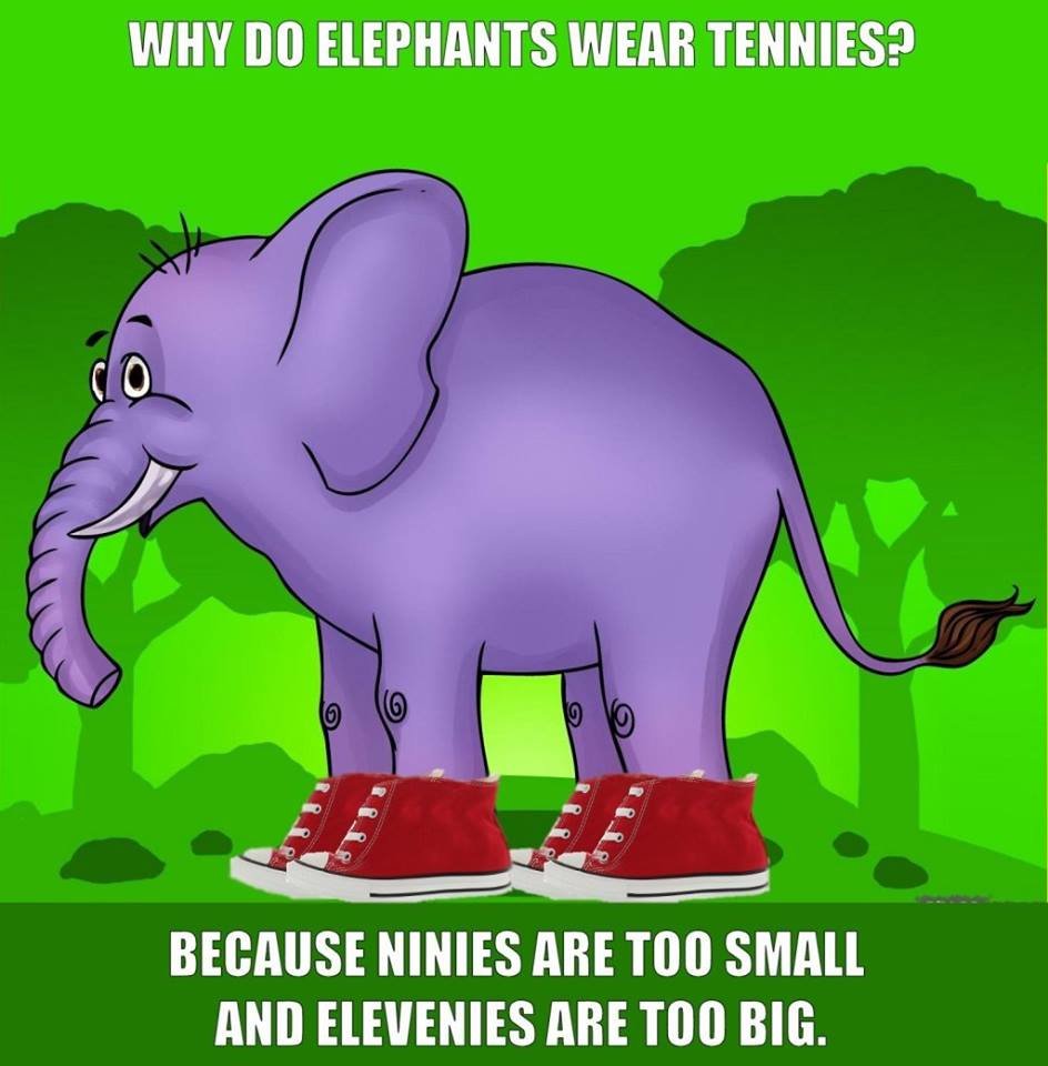 Elephant Tennies.jpg
