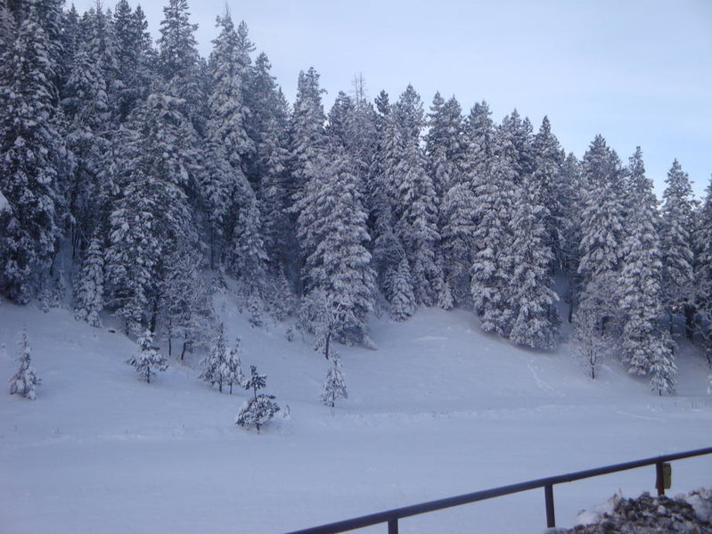Elk 09 004.jpg