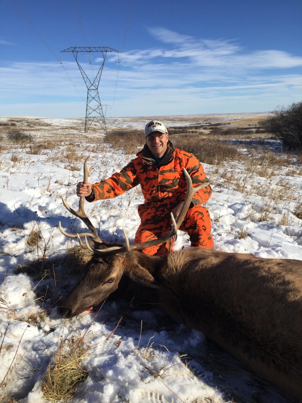 elk 2017.jpg