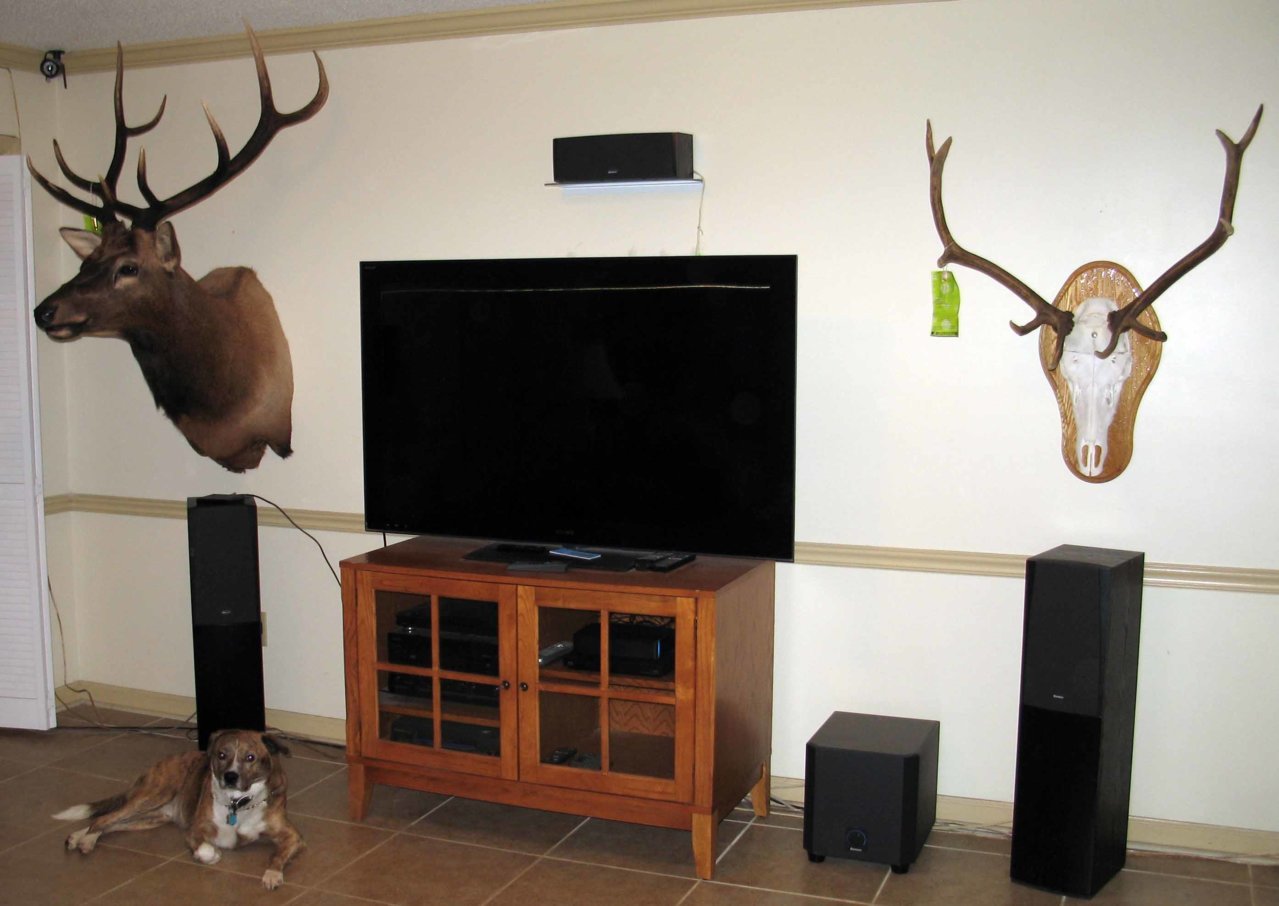 Elk 3.jpg