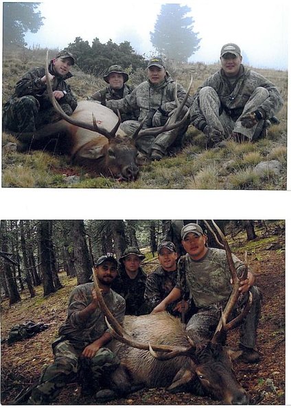 elk.jpg