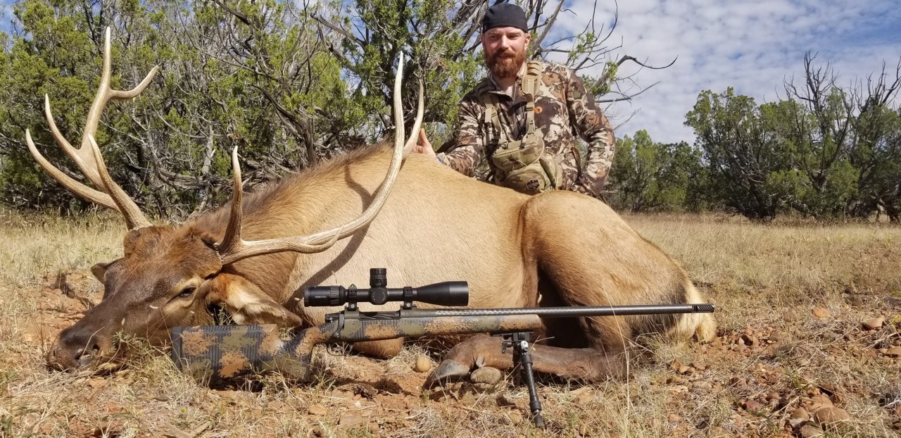 Elk picture.jpg