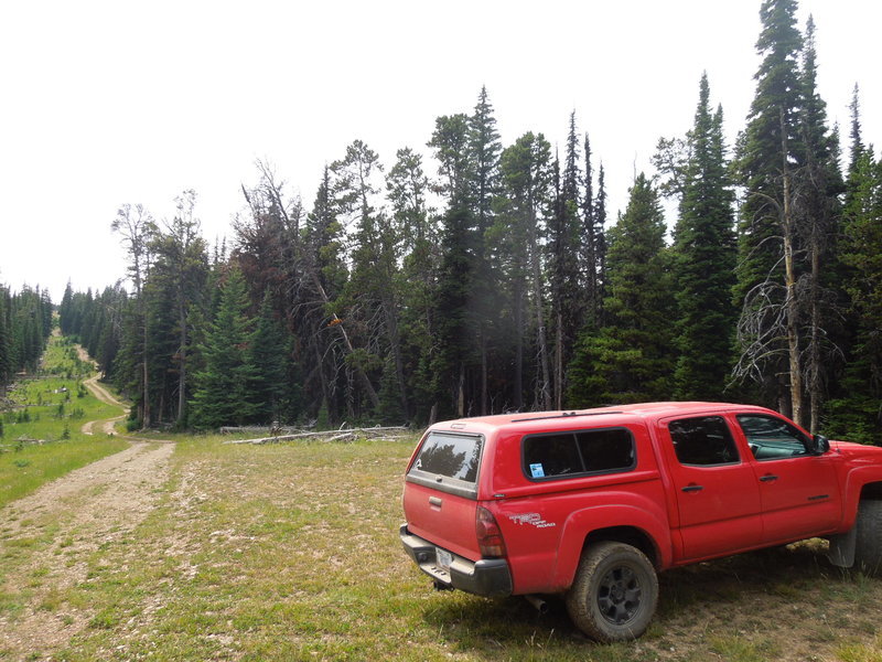 Elk Scouting #2 002.jpg