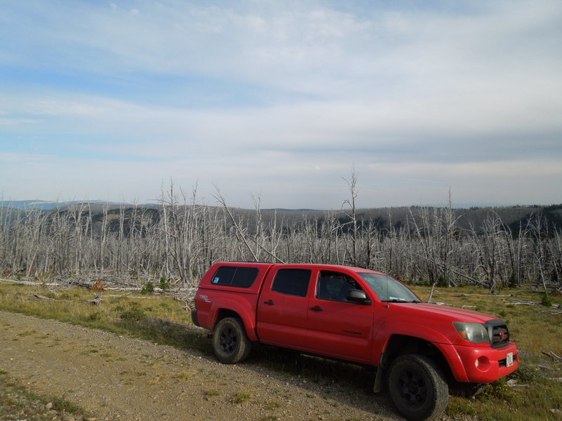 Elk Scouting #2 005.jpg