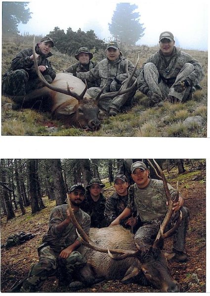 elk1.jpg