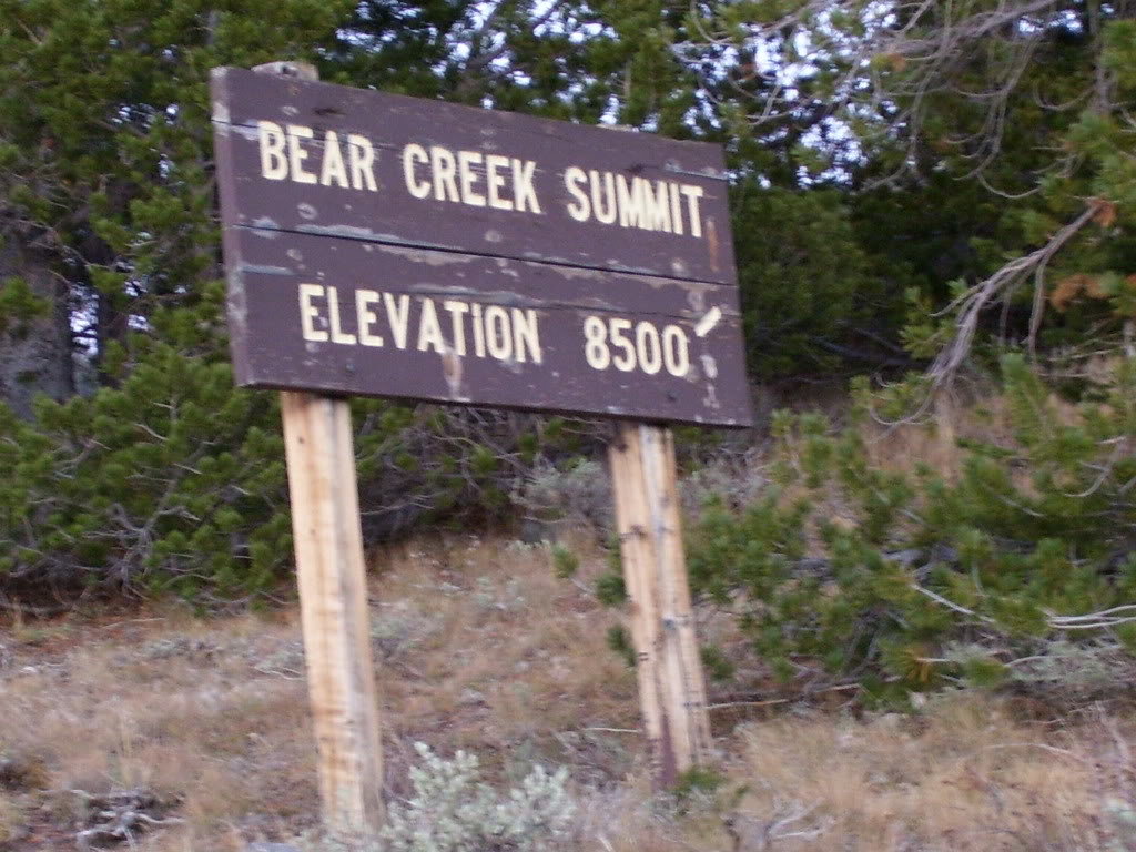 elkscouting022_79befc1fd859df540dbe248435afeb91ea08cf8f.jpg