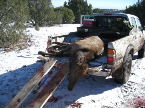 elktrk.jpg