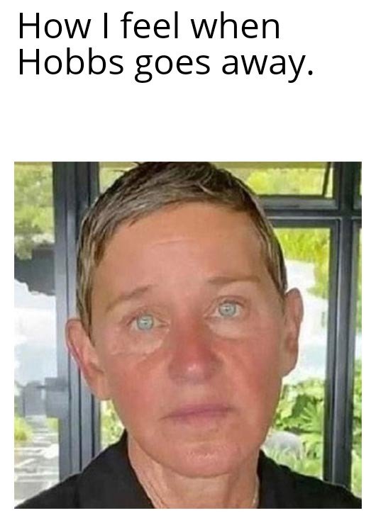 Ellen Degeneres Crying 07022022104515.jpg