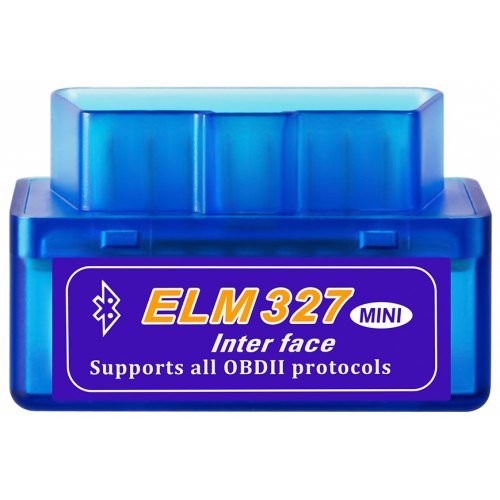 elm.jpg