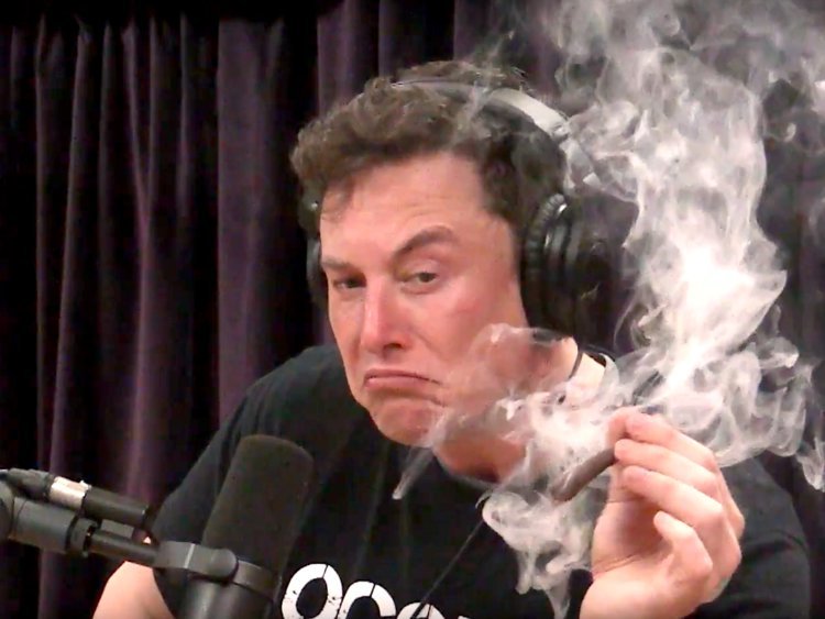 elon.jpg
