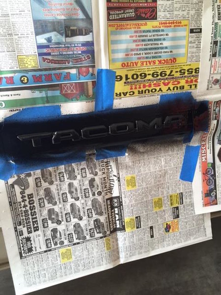 emblemplastidip1.jpg