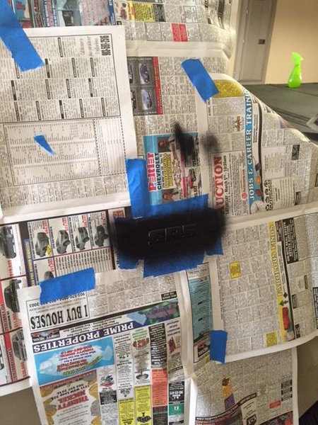 emblemplastidip2.jpg