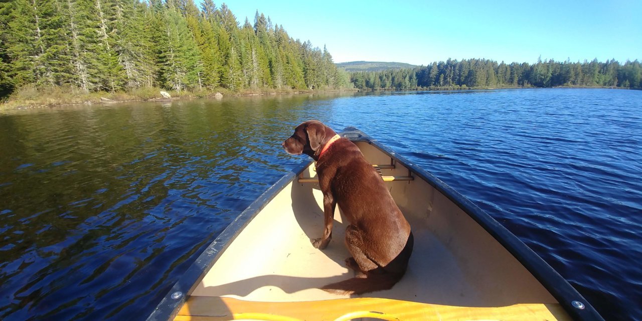 Emmie Canoe.jpg