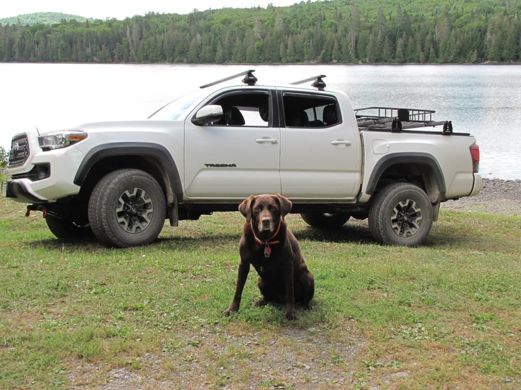 Emmie Truck.jpg
