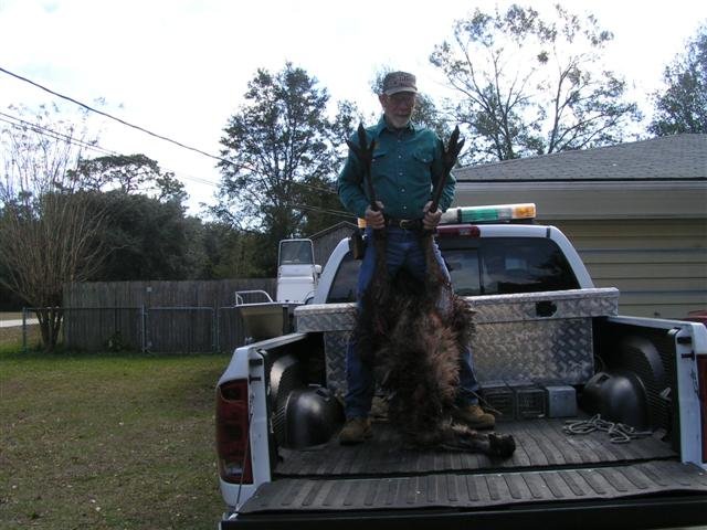 EMU RESCUE 003.jpg