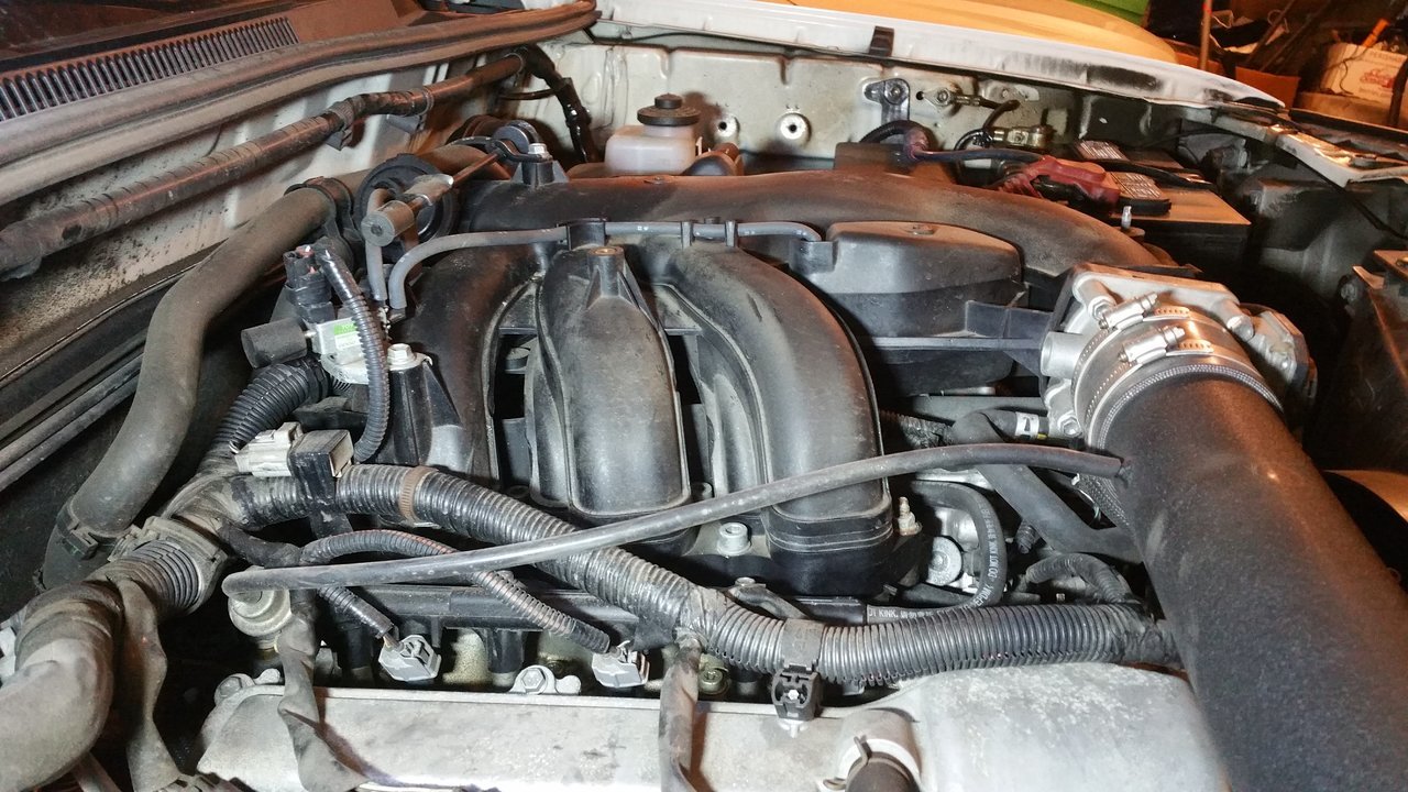 Engine Bay 1.jpg