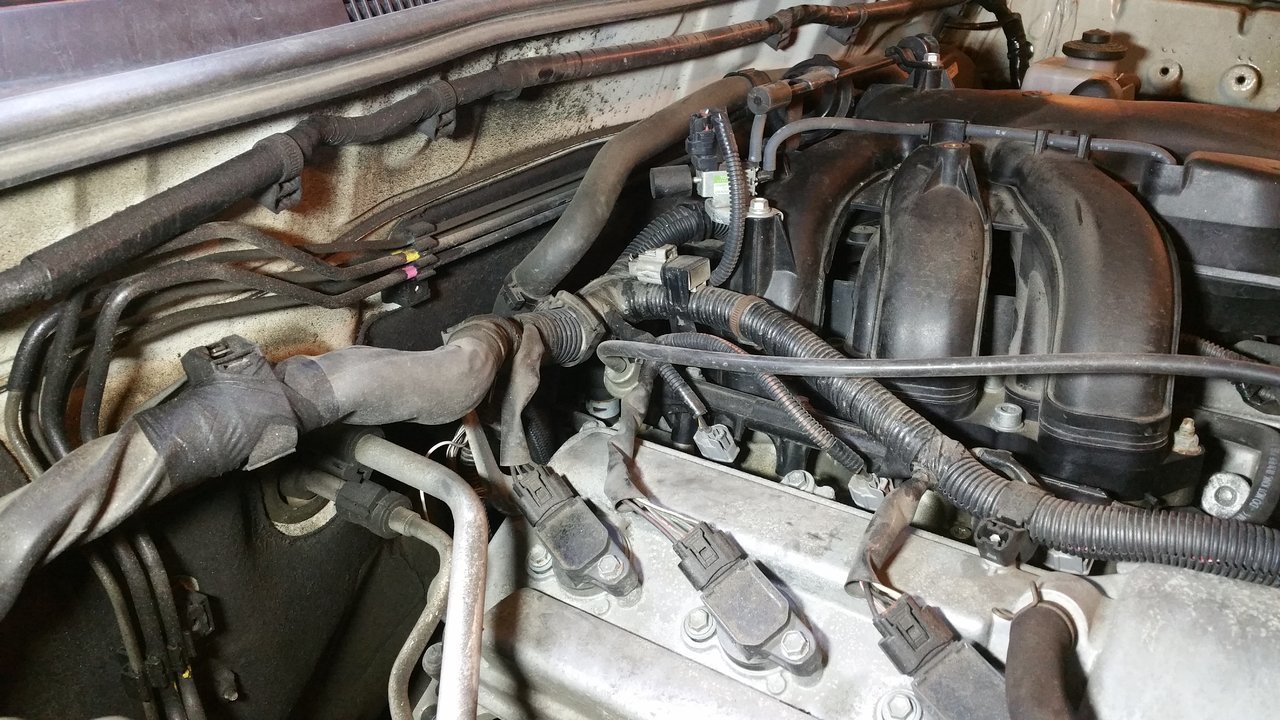 Engine Bay 2.jpg