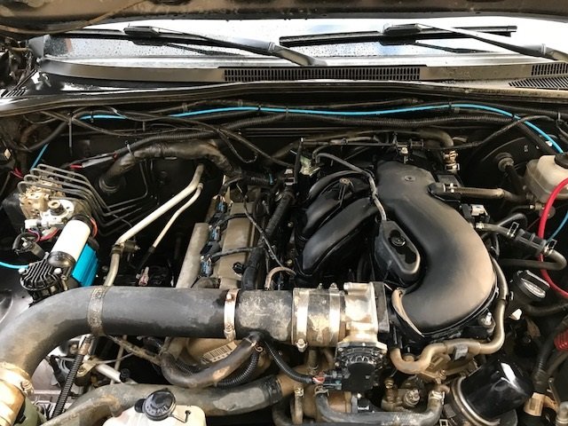 Engine Bay 2.jpg