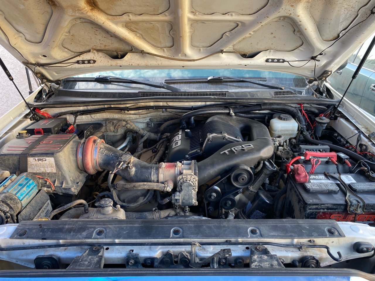 engine bay.jpg
