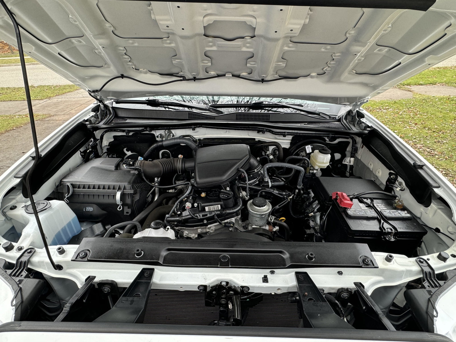 enginebay.jpg