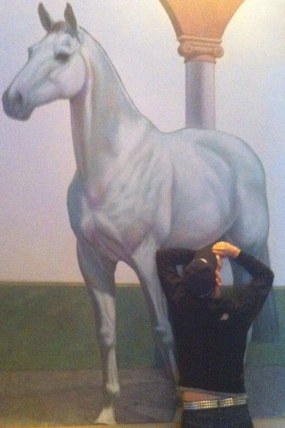epic horse fail.jpg