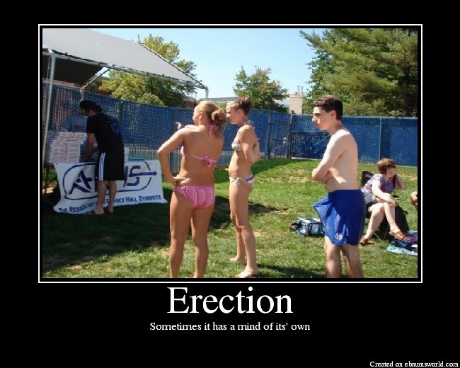 erection.jpg